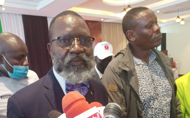 I’ll Invite Everyone in State House to Come and Smoke Bhang – Presidential Aspirant George Wajackoyah