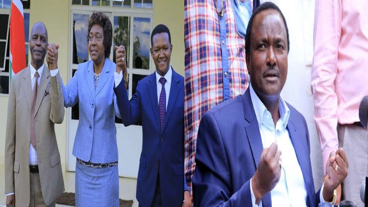Writing of a Political Obituary? Ngilu, Mutua and Kibwana Defy Kalonzo in Mega Show