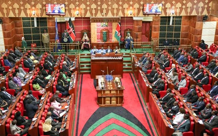 MPs Accept Live Streaming of Presidential Results