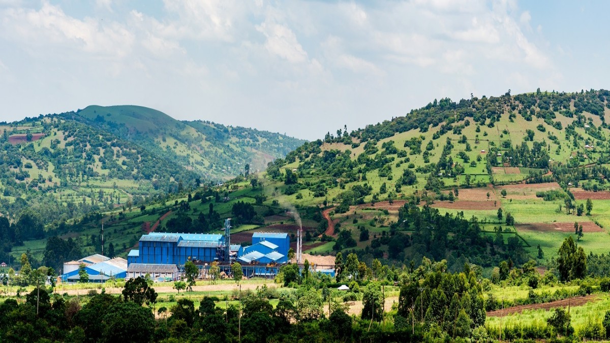 Shock as Sugar Factory Employees Buried Alive in Narok