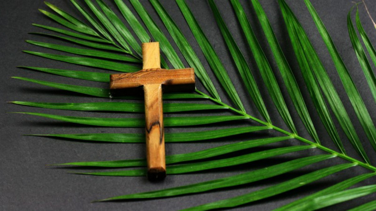 Who Do You Carry? Jesus, The Jerusalem Donkey, And The Jerusalem Entry