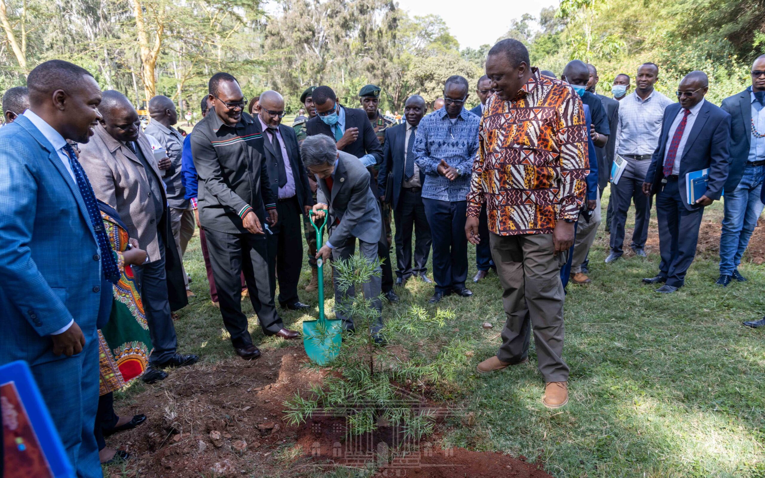 Uhuru to Launches Accelerated National Tree Growing Campaign