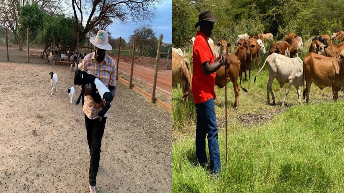 Top 10 News in Brief: 'I Did Not Grab,' DP Ruto Defends Ownership of Mata Farm